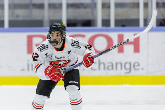 ita Hästens Luiz Liljeblad