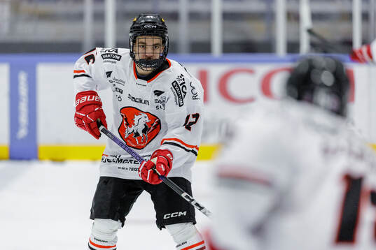 ita Hästens Luiz Liljeblad