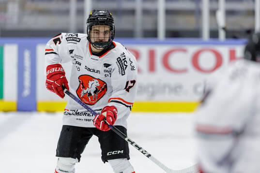 ita Hästens Luiz Liljeblad