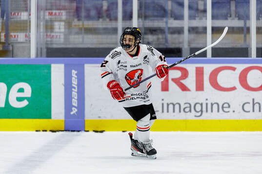 ita Hästens Luiz Liljeblad
