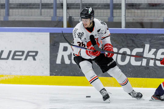 Vita Hästens Melvin Krause
