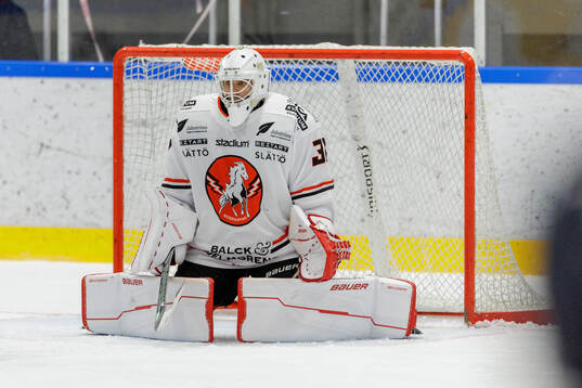 Vita Hästens målvakt Daniel Fahlström