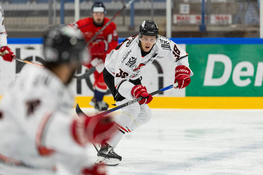 Vita Hästens Melvin Krause