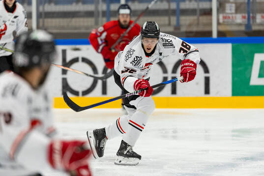 Vita Hästens Melvin Krause