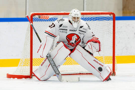 Vita Hästens målvakt Daniel Fahlström