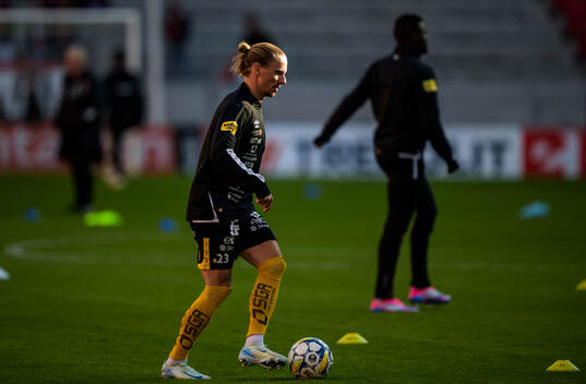 Elfsborgs Niklas Hult