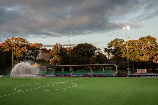 Hammarby IP