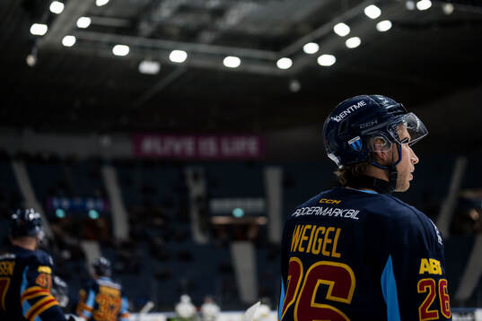 Djurgårdens Fredric Weigel