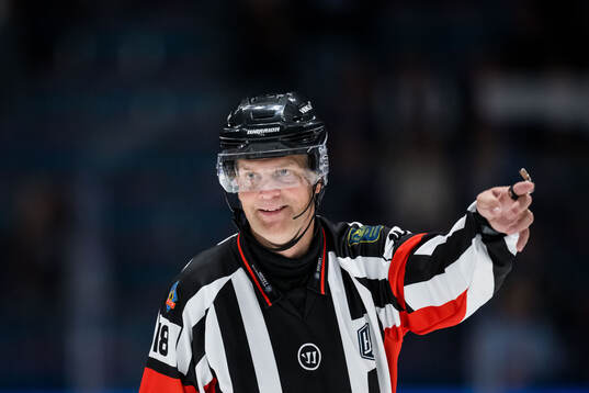 Domare Mikael Nord