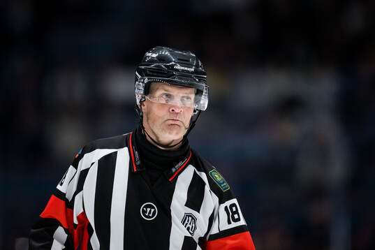Domare Mikael Nord