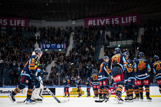 Djurgården spelare jublar framför sina supportrar