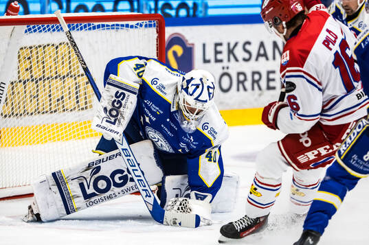 Leksands målvakt Mantas Armalis