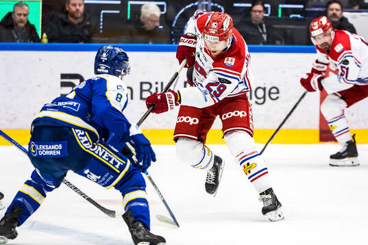 Timrås Filip Hållander