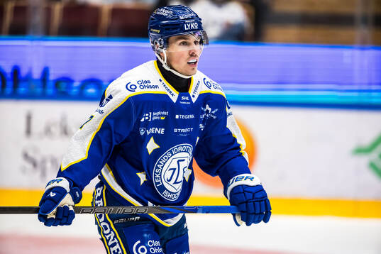 Leksands Marcus Karlberg