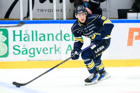 HV71s Hugo Pettersson