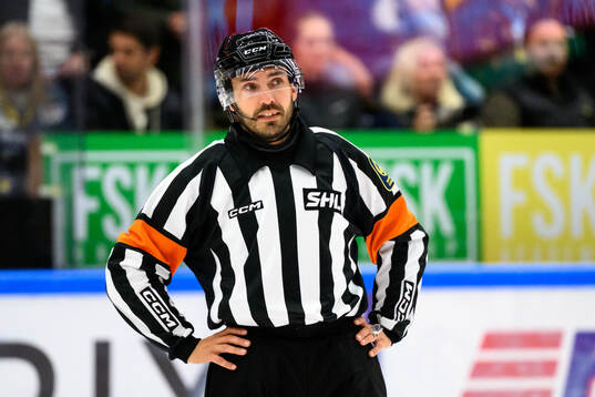 Domare Mattias Enroth