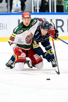 MoDos Lukas Jasek och HV71s Hugo Pettersson