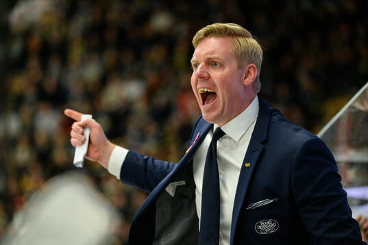 HV71s tränare Anton Blomqvist