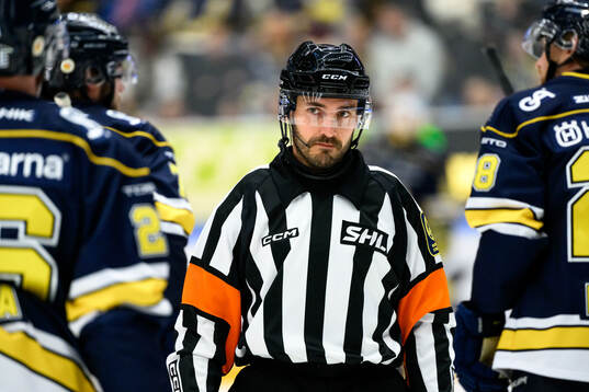 Domare Mattias Enroth
