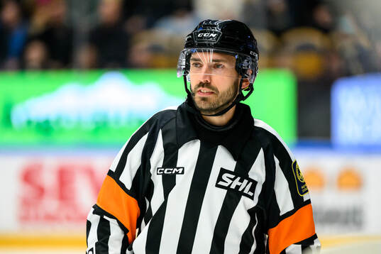 Domare Mattias Enroth