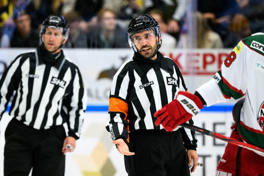 Domare Mattias Enroth