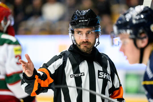 Domare Mattias Enroth