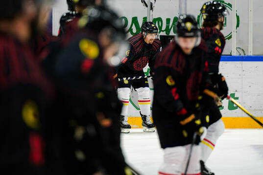 Brynäs Anton Rödin