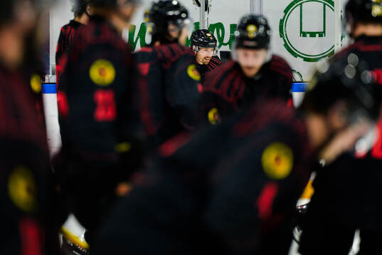 Brynäs Anton Rödin