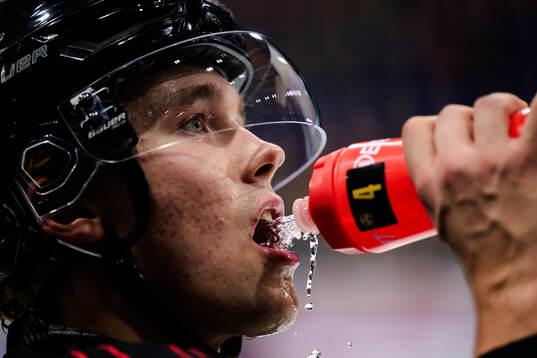 Brynäs Theo Lindstein