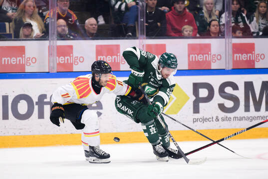 Brynäs Jordan Schroeder och Färjestads Marian Studenic