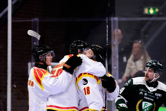 Brynäs Anton Rödin jublar