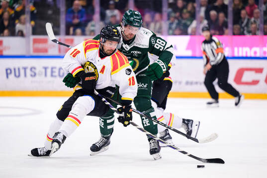 Brynäs Anton Rödin och Färjestads Marian Studenic