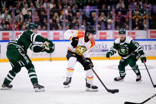 Brynäs Bobby Trivigno