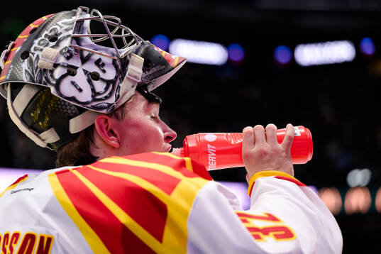 Brynäs målvakt Ludvig Persson