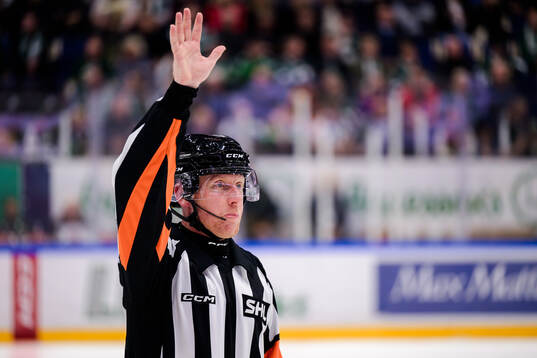 Domare Mikael Holm