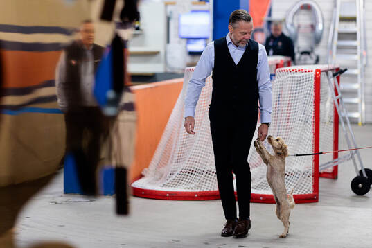 Växjös assisterande tränare Fredrik Hellgren och en hund