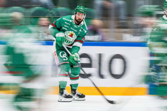 Rögles Michael Kapla