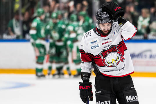 Malmö Redhawks Robin Hanzl deppar
