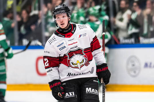 Malmö Redhawks Linus Öberg deppar