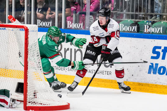 Rögles Filip Johansson och Malmö Redhawks Otto Stenberg