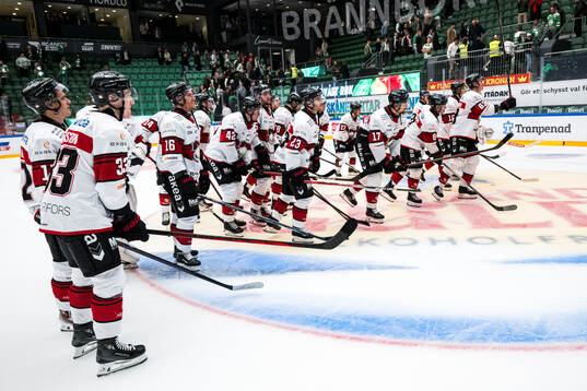 Malmö Redhawks spelare jublar