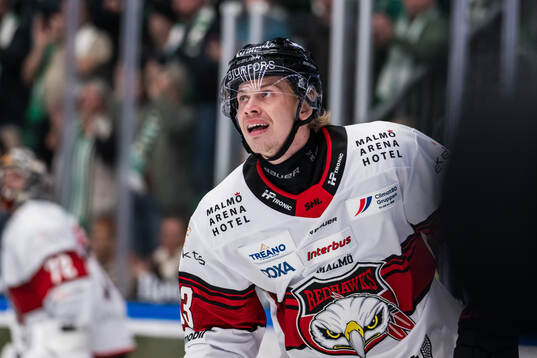 Malmö Redhawks Albert Sjöberg deppar