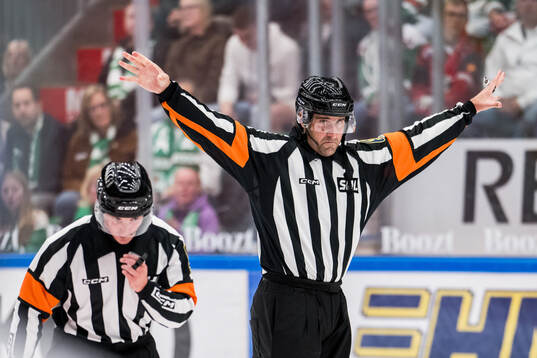 Domare Mikael Sjöqvist