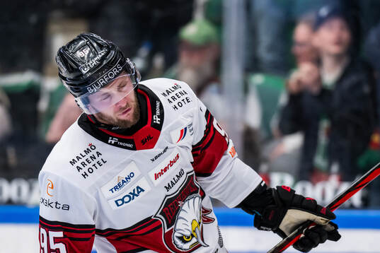 Malmö Redhawks Carl Persson  deppar