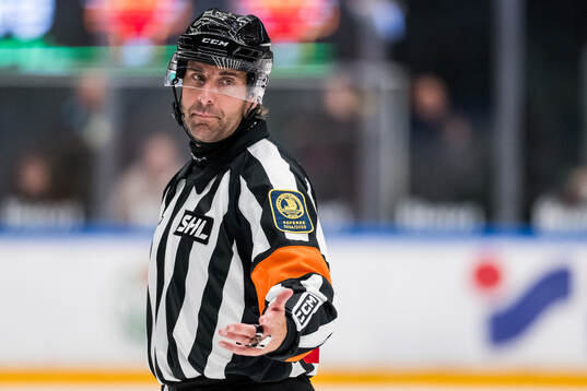 Domare Mikael Sjöqvist
