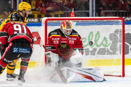 Luleås målvakt Matteus Ward