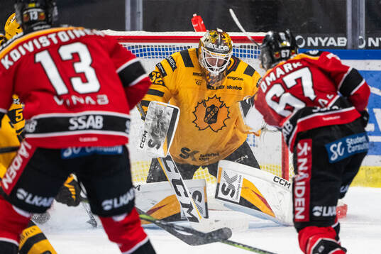 Skellefteås målvakt Linus Söderström