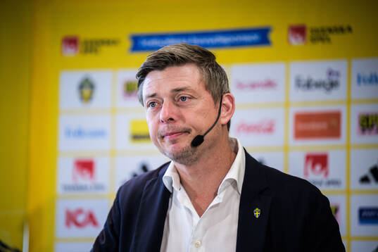 Head coach Jon Dahl Tomasson of the Swedish national