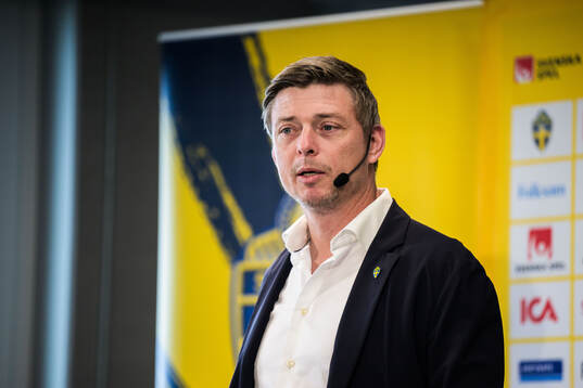 Head coach Jon Dahl Tomasson of the Swedish national