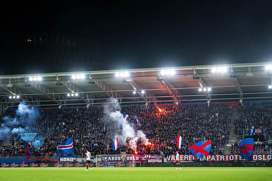 Spectators in the stands celebrates
